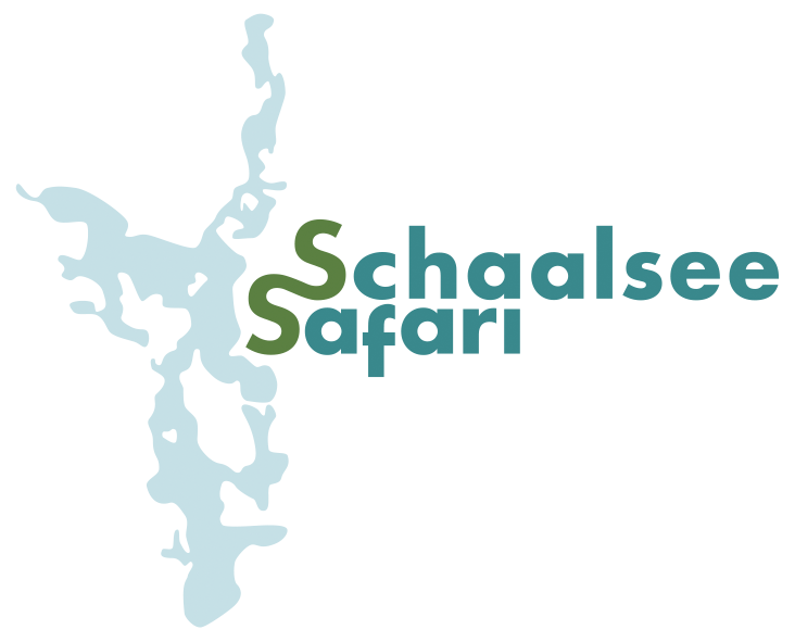 Logo Schaalsee-Safari